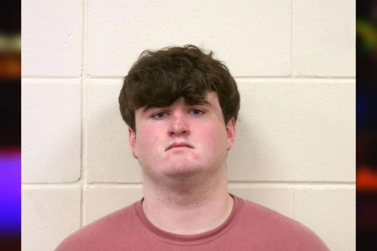 Andrew Seaberg mugshot – Bulloch County , Georgia Andrew Seaberg
