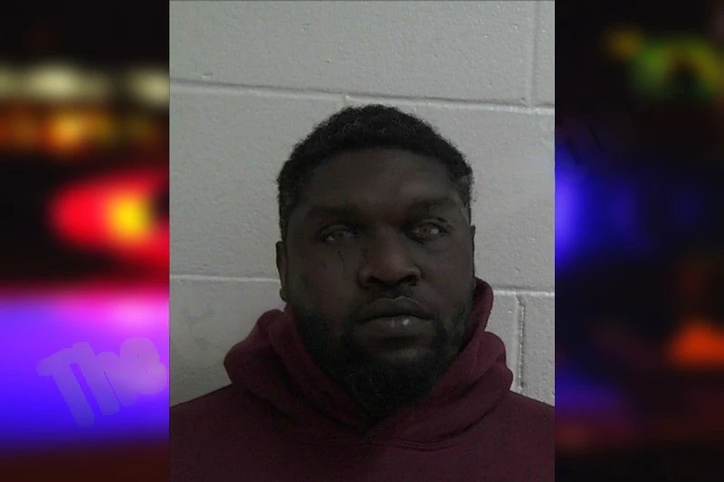 Andriane Glynn Mugshots