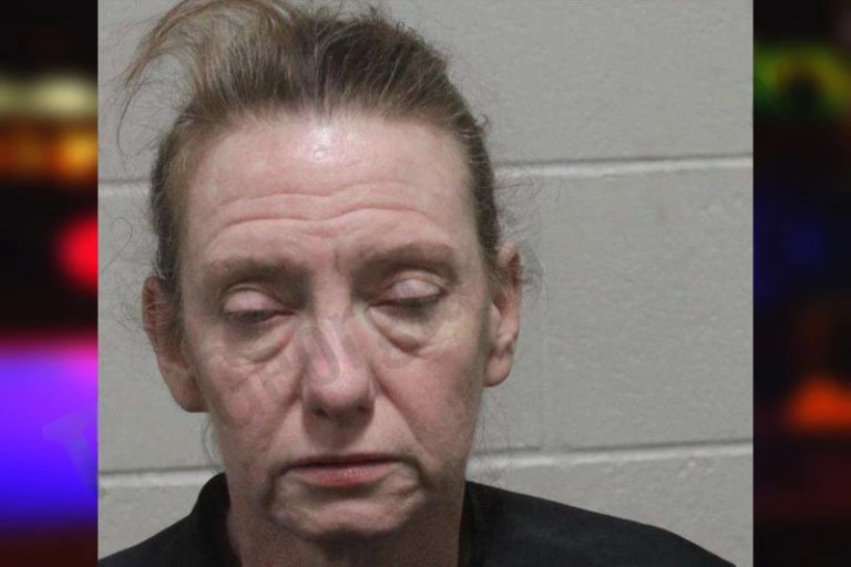 Angela Loggins mugshot – Habersham County , Georgia Angela Loggins