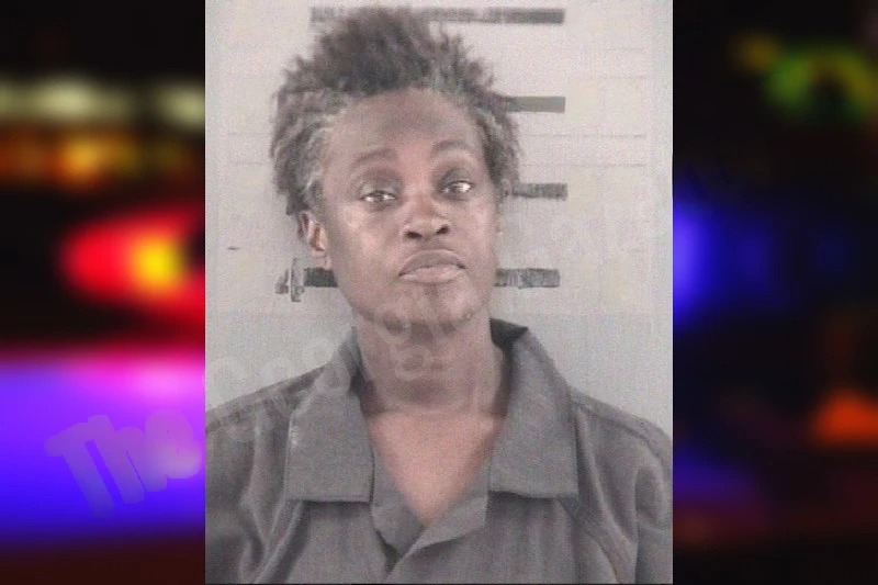 Angela Twiggs Mugshots