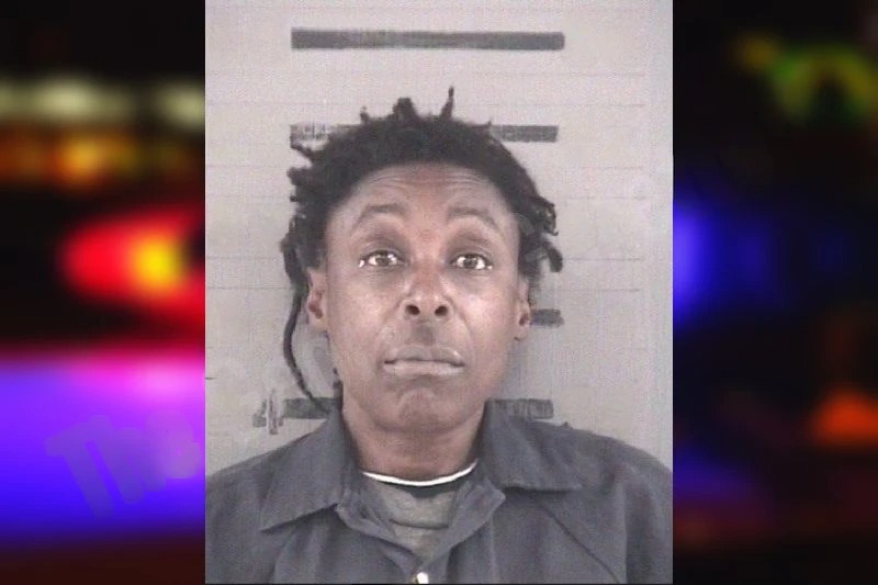 Angela Watson mugshot