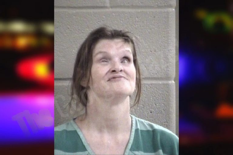 Angela Webb mugshot – Whitfield County , Georgia Angela Webb