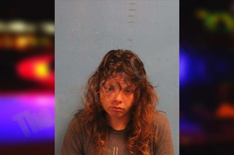 Angela Wilkinson mugshot – Monroe County , Georgia Angela Wilkinson mugshot