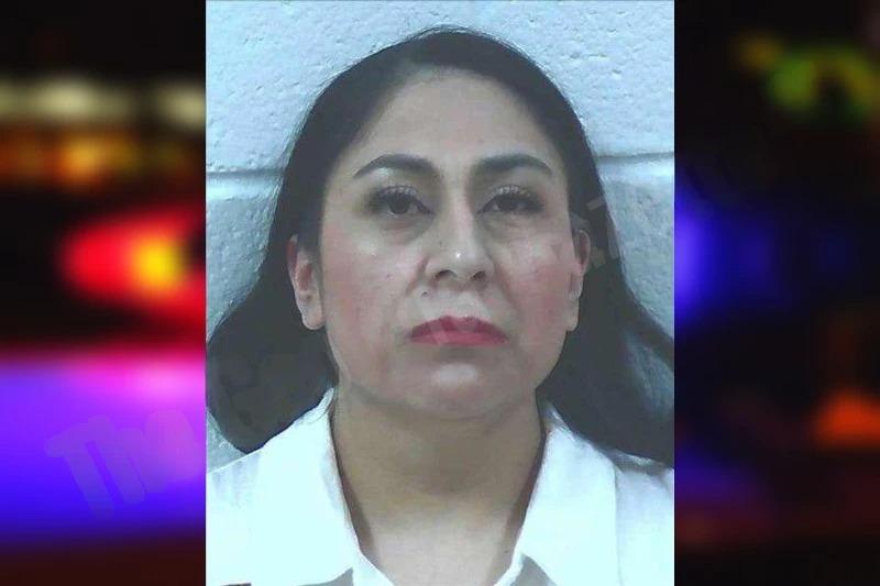 Angelica Arellano Mugshots