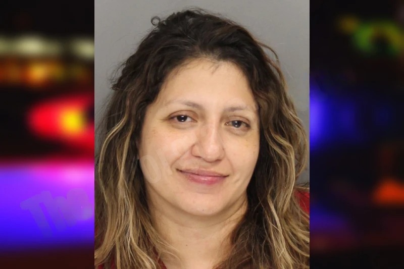 Angelique Gonzalez Mugshots