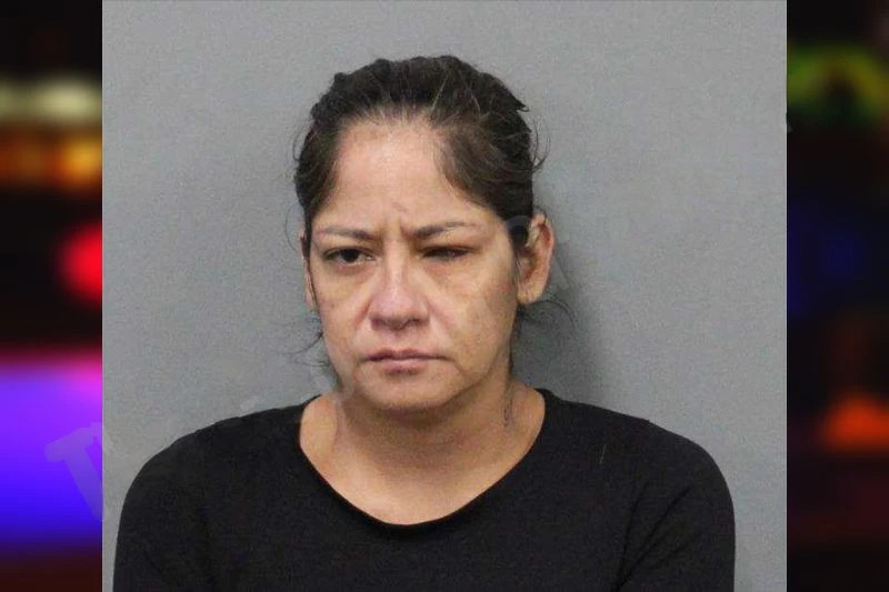 Anna Ramirez Mugshots