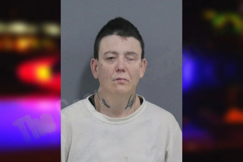 Annalisa Baldwin Mugshots