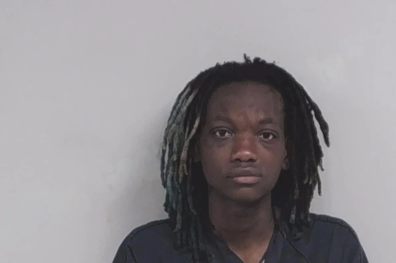 Annette Johnson Mugshots