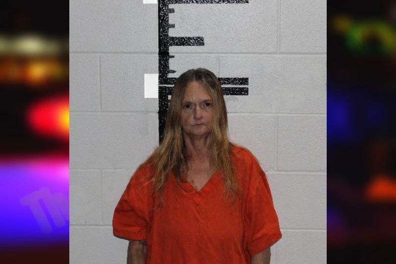 Annette Tigue Mugshots