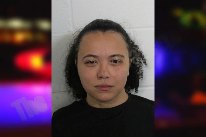 Ansley Barge Mugshots