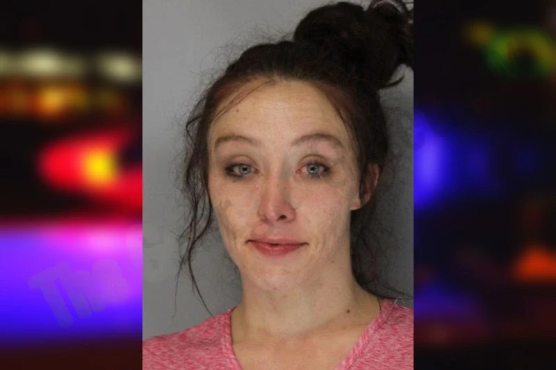 Ansley Stanley Mugshots