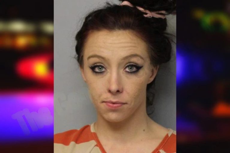 Ansley Stanley mugshot – Hall County , Georgia Ansley Stanley