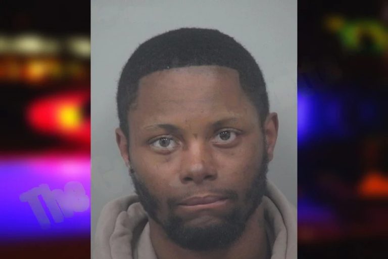 Anthony Babayemi mugshot – Gwinnett County , Georgia Anthony Babayemi