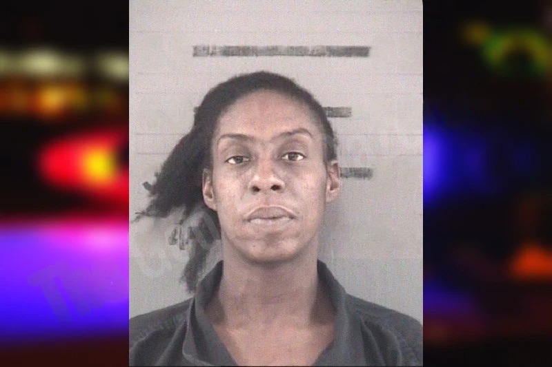 Antoinette Hopkins Mugshots