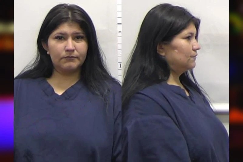 Anyeli Finol Mugshots