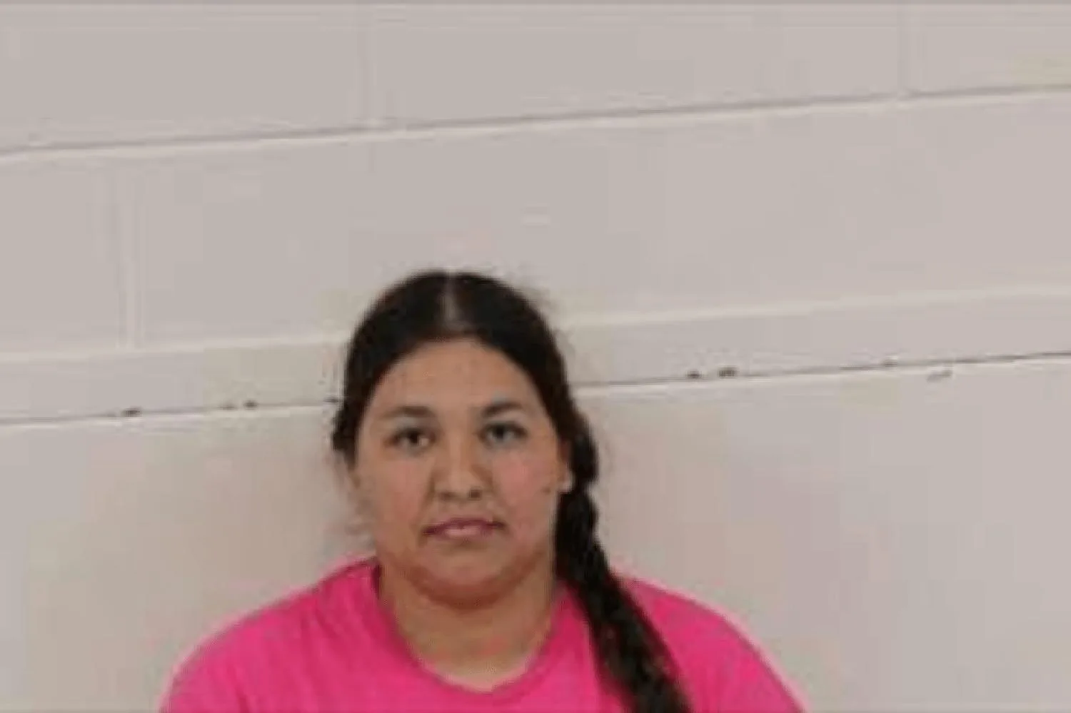Arianna Pereyra Martinez Mugshots