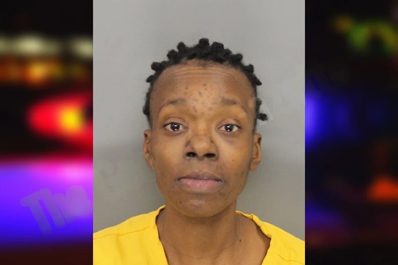 Arielle Davis Mugshots