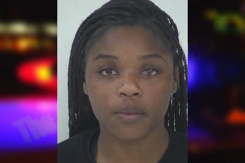 Arielle Porter Mugshots