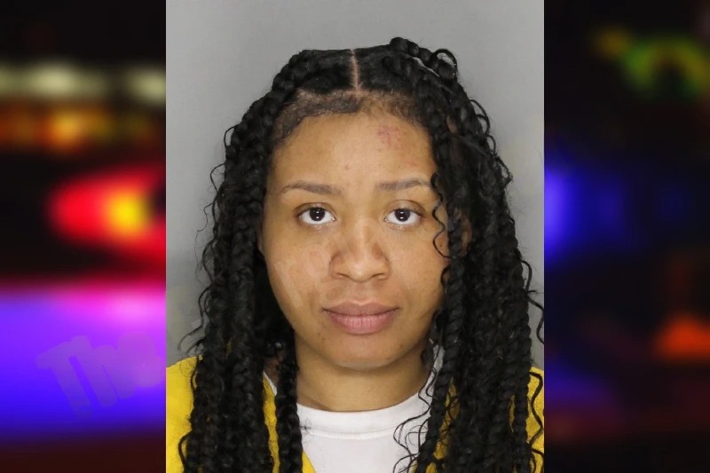 Aryion Haynes mugshot