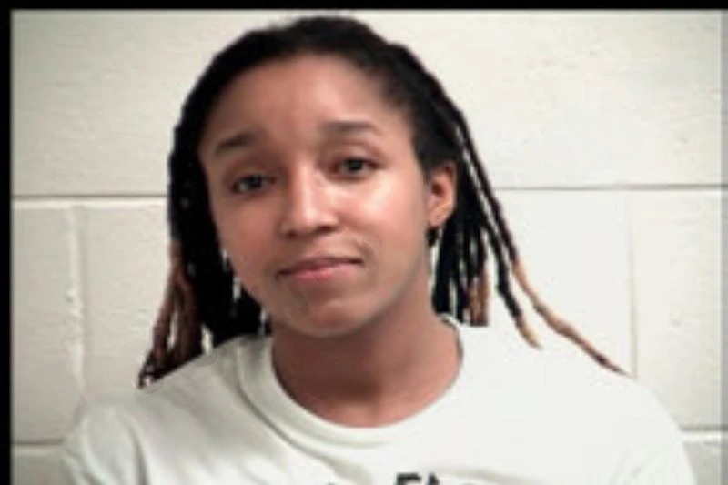 Ashley Brinkley Mugshots