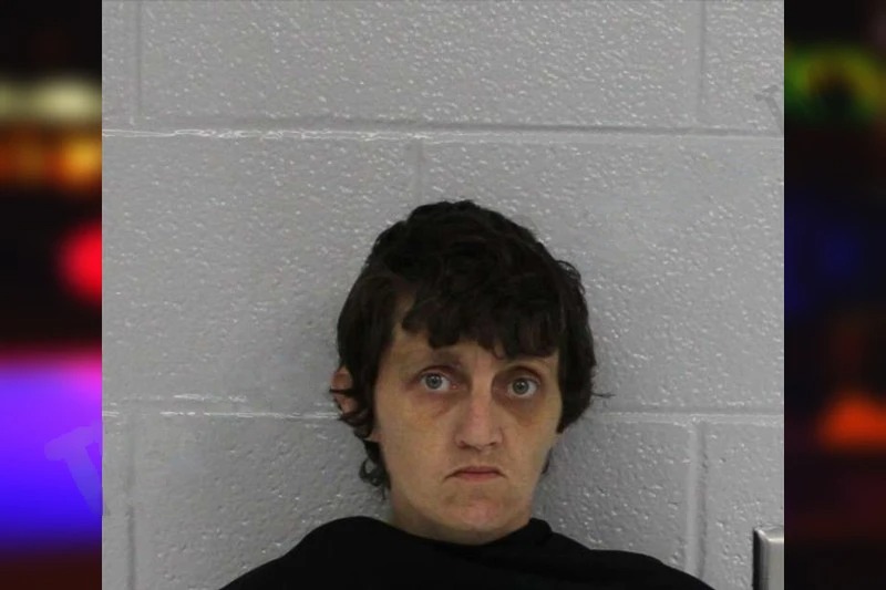 Ashley Caldwell mugshot