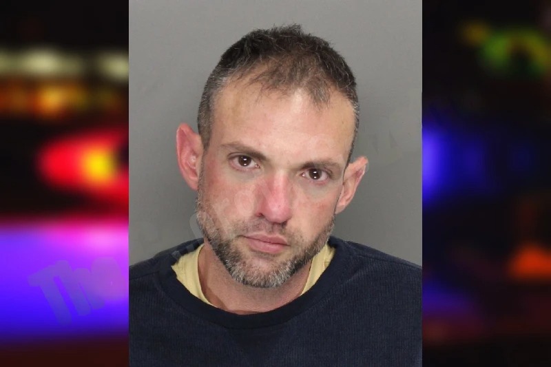 Ashley Hammour Mugshots