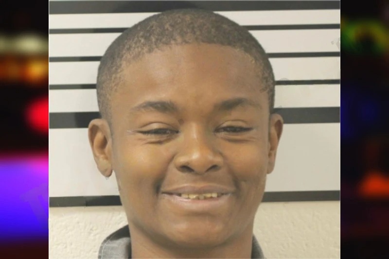 Ashley Harris mugshot