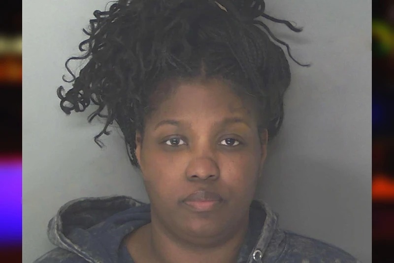 Ashley Ireland mugshot – Douglas County , Georgia Ashley Ireland mugshot