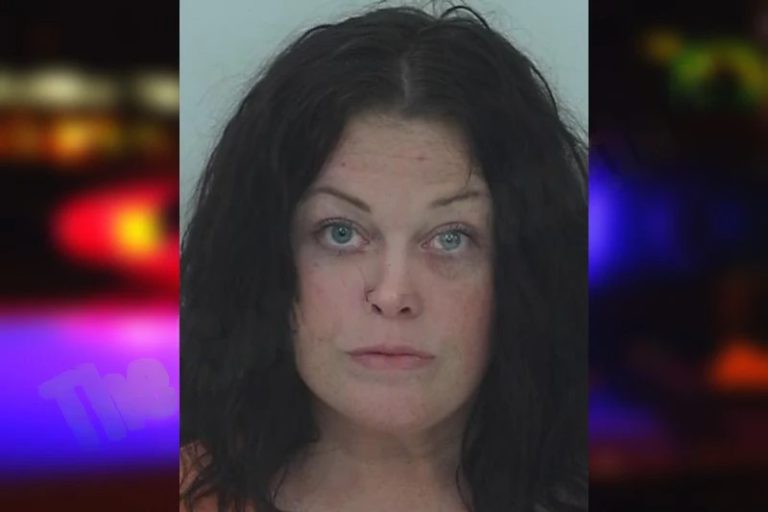 Ashley Lamb mugshot – Fayette County , Georgia Ashley Lamb