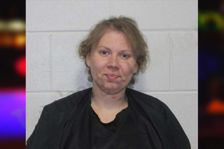 Ashley Lewallen mugshot – Habersham County , Georgia Ashley Lewallen