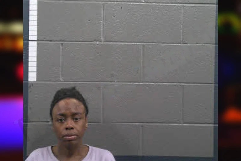 Ashley Miner Mugshots