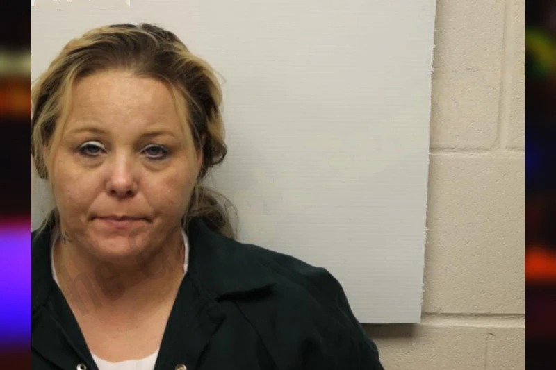 Ashley Nelson Mugshots