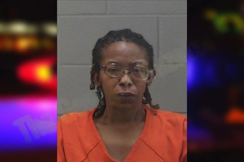 Ashley Norman Mugshots