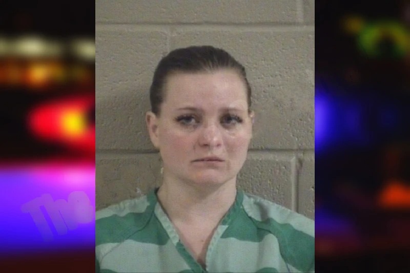 Ashley Robertson Mugshots