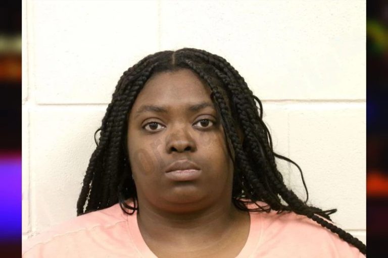 Ashley Seabrook mugshot – Bulloch County , Georgia Ashley Seabrook