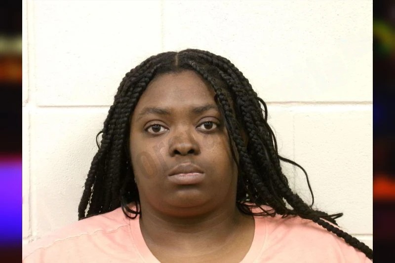 Ashley Seabrook Mugshots