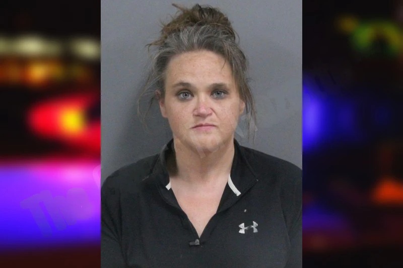 Ashley Stines mugshot