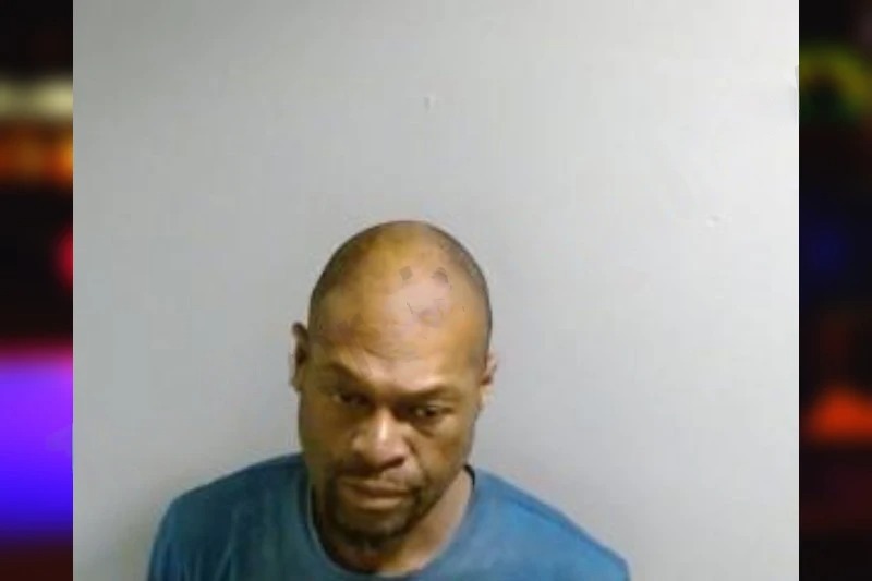 Ashley Wallace mugshot