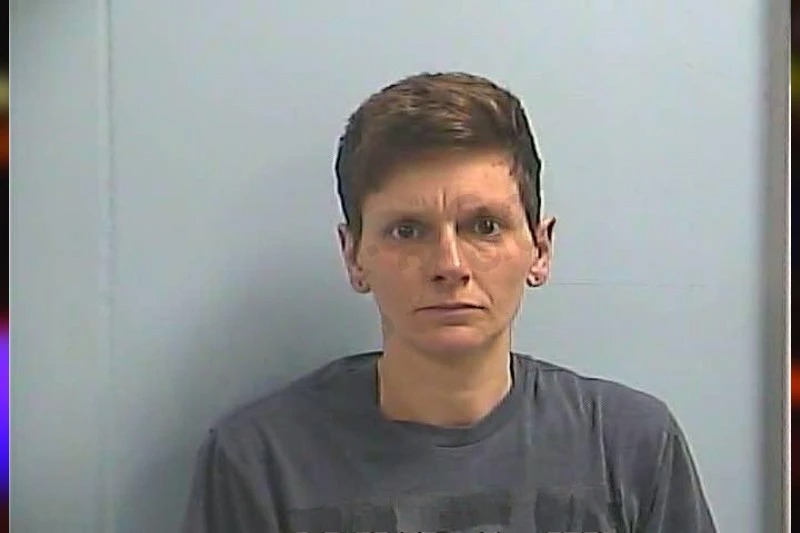 Ashley Watson Mugshots