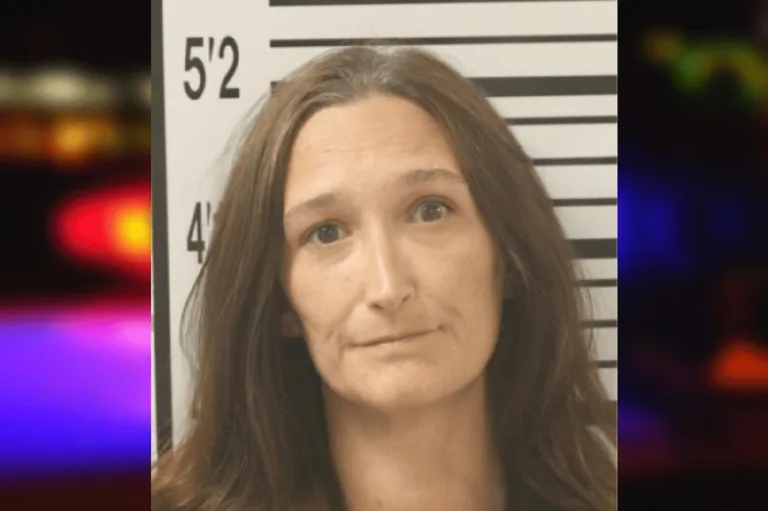 Ashley Wells mugshot – Toombs County , Georgia Ashley Wells