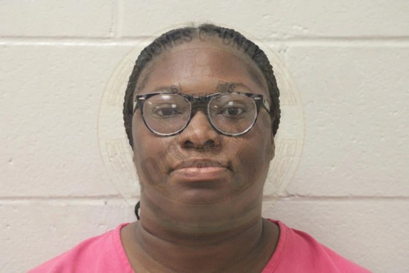 Ashley Wilson Mugshots