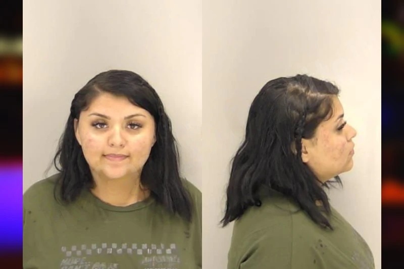 Ashly Fortin Mugshots