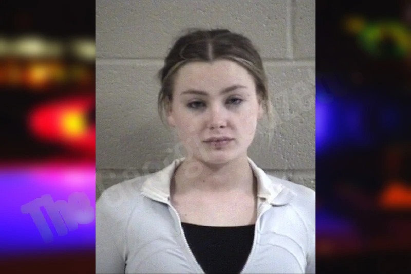 Ashlyn Fauscett mugshot – Whitfield County , Georgia Ashlyn Fauscett mugshot