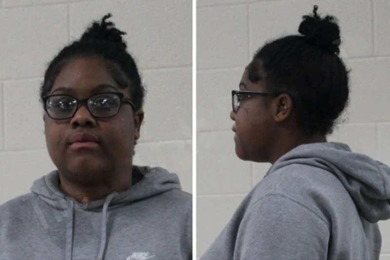 Ashlyn Willis Mugshots