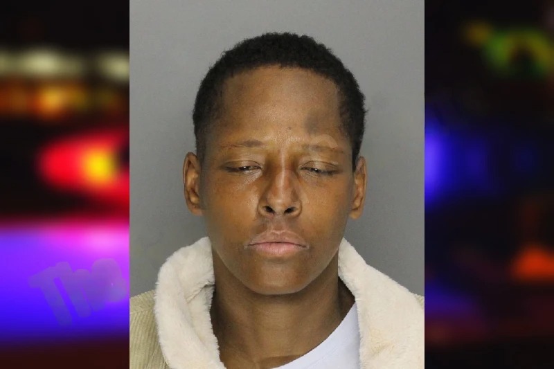 Asya White mugshot – Cobb County , Georgia Asya White mugshot