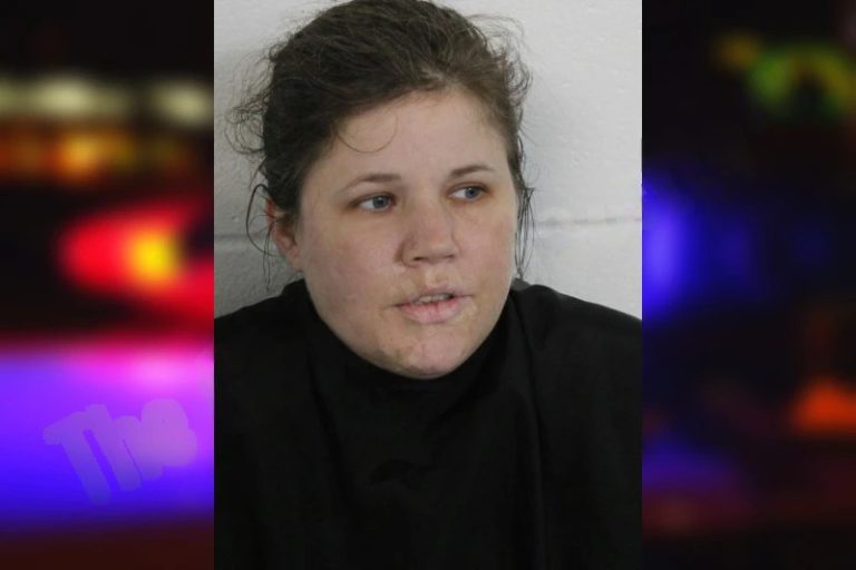 Autumn Sanders mugshot – Floyd County , Georgia Autumn Sanders