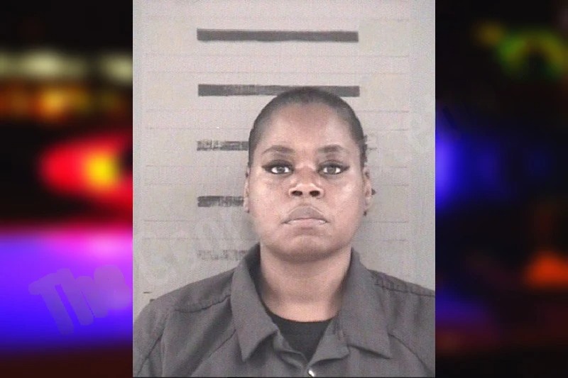 Ayasha Arline Mugshots