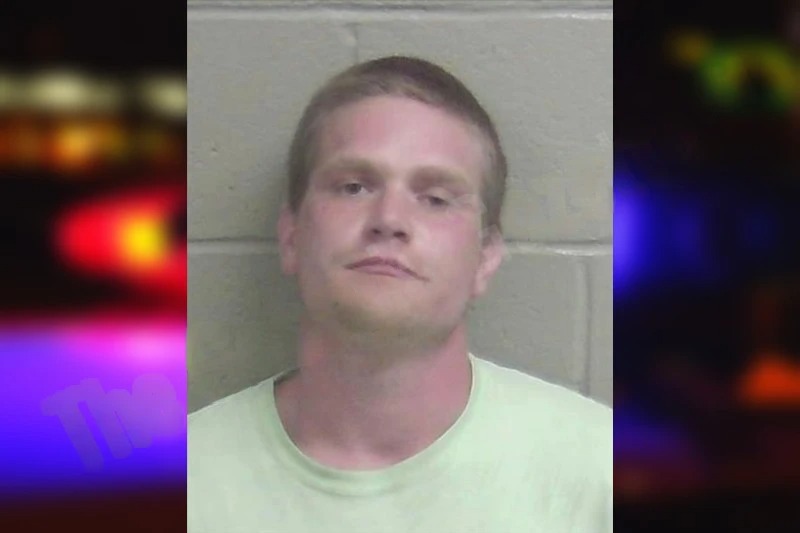 Bailey Perkins Mugshots