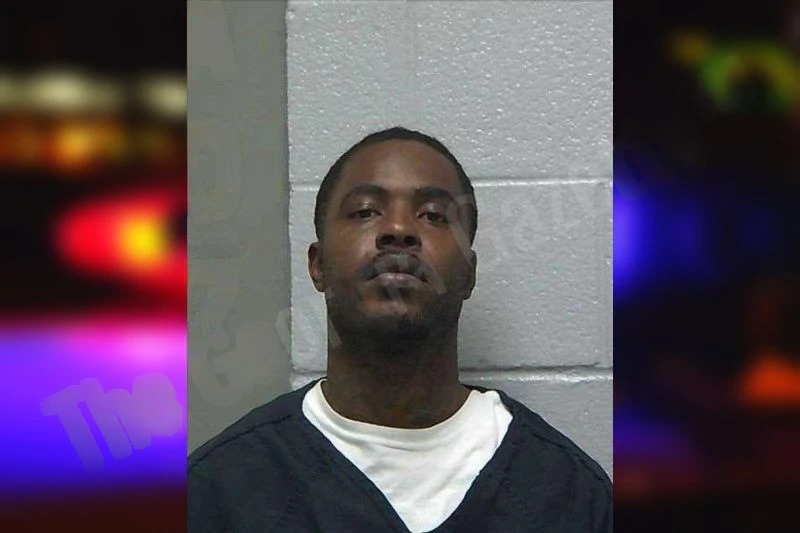 Baratta Gray Mugshots