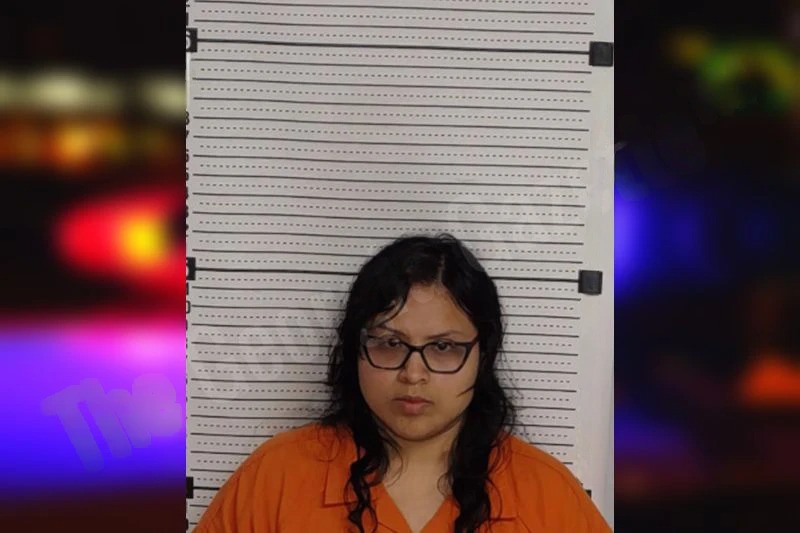 Barbara Hines Mugshots